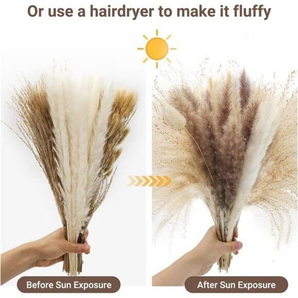 Natural Dried Pampas Grass Bouquet 120 Pcs Boho Home Decor Bunny Tails Reed - Picture 4 of 8